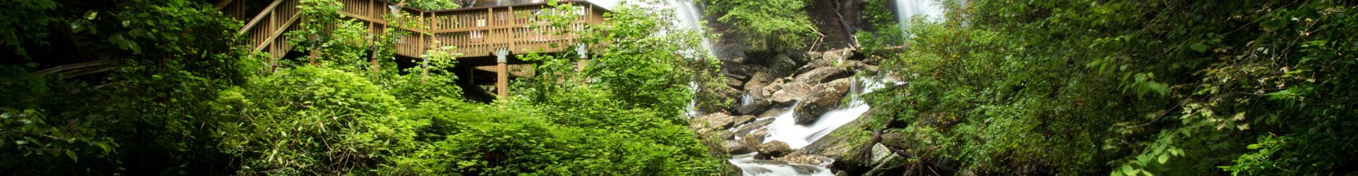 Helen GA Shutterstock 1465724132