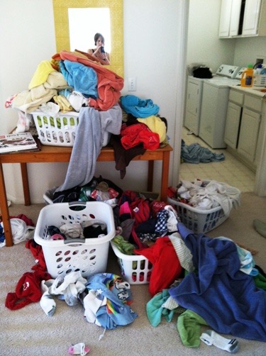 Image 7 (1)