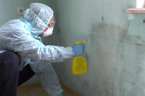 Remediation Worker Cleaning Wall 600X400
